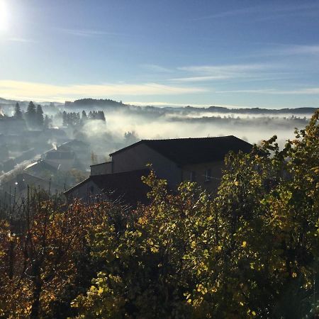 Gite Les Marronniers Saint-Didier-en-Velay Zewnętrze zdjęcie